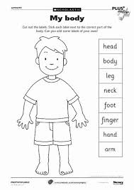 Worksheets, lesson plans, activities, etc. Body Parts Worksheets For Preschoolers Best Of Pin On Vallada Printable Worksheets For Kids