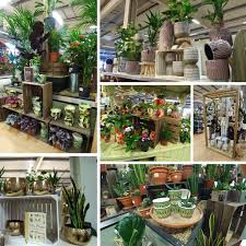 Webbs Garden Centre Indoor Planters Indoor Plants Contemporary Garden