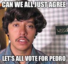 Vote For Pedro Meme Generator Imgflip