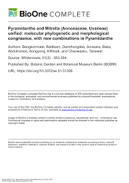 Image result for Dielsiothamnus divaricatus