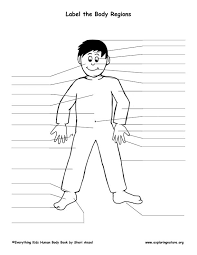 Most of these words are used for the body parts of animals as well as people. Body Parts In Spanish Diagram Quizlet