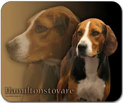 För att komma till ras hamilton gå in under fliken avel. 4pfotenshop Hundewarnschilder Und Kratzfeste Autoaufkleber Mit Hundemotiven Mousepads Hunderassen Hundemotive
