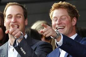 Harry And William S Praise For Charity Set Up In Princess Diana S Name Prince Harry Photos Prince William And Kate British Royal Family