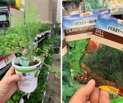 We all try to be as healthy and natural as possible. How To Create An Herb Garden In An Apartment Camdenliving Com