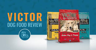 Here you will find the best low fat dog food for weight management and pancreatitis problem with competitive prices for everyone's budget. Victor Dog Food Review Recalls Ingredients Analysis In 2021 Animalso