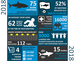 Shark Spotters Year In Review 2018 Save Our Seas Foundation