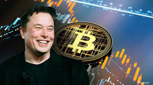 Elon Musk Owns These 3 Cryptocurrencies Fox Business