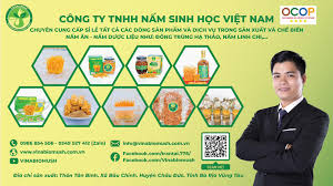 Top 3 Cửa Hàng Nấm Sinh Học Uy Tín Tại Bà Rịa - Vũng Tàu