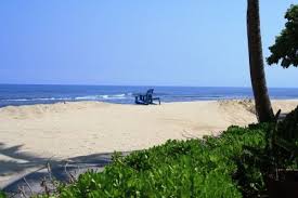 From the basic burger, or asian fusion dishes to popular hawaiian fare and kona luau eats. Pin On Travel Hawaii
