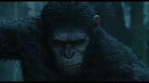 Room 207 Press: Your Move, Darwin #10: Dawn of the Planet of the Apes (2014)