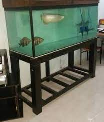 Whether youve owned fish before or youre a beginner, choosing the perfect aquarium can be a real minefield. 5ft Aquarium Pets For Sale In Malaysia Mudah My