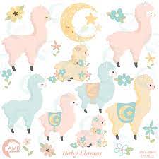 Download Baby Llama Ambillustrations Com