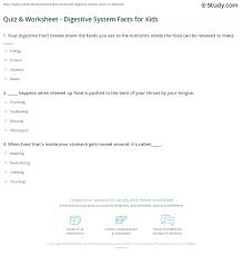 A) a b) c c) f d) g _____ 15. Quiz Worksheet Digestive System Facts For Kids Study Com