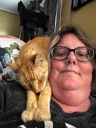 Lost Cat in Port Ewen, New York, Seeking Help to Find Missing Pet