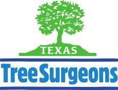 We did not find results for: What Is A Certified Arborist Texas Tree Surgeons