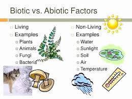 Biotic factors are the living components of an ecosystem: Abiotic Vs Biotic Factors Worksheet Answers Beautiful What Is The Difference Between Biotic And Abiotic Quora Abiotic Ecosystems Unit Ecosystems