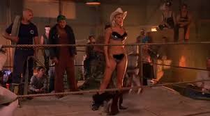 Ready to rumble updated their profile picture. Yarn My Friends They Call Me Pretty Kitty Ready To Rumble 2000 Sport Video Clips By Quotes Clip 60c3e270 B338 44b6 B147 46d7db87d7bc ç´—