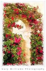 Culture of italy in rural and urban areas. Flowers Gary Williams Photography Garden Whimsy Colorful Garden Garden Vines