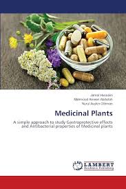 Medicinal Plants: A simple approach to study Gastroprotective effects and  Antibacterial properties of Medicinal plants: HUSSAINI, JAMAL, Ameen  Abdullah, Mahmood, Othman, Nurul Asykin: 9783659474507: Amazon.com: Books