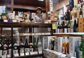 In Photos Shiba Inu Dog Raises The Bar As Mascot To Storied Japan Liquor Store In 2020 Shiba Inu Shiba Inu Dog Shiba