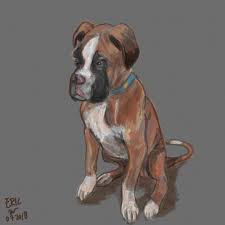  Gambar Anjing Lucu Dog Drawing Dogs Drawings