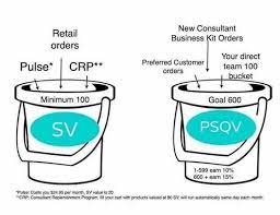 Sv Psqv Buckets Rodan And Fields Business Rodan And Fields My Rodan And Fields