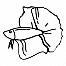 Download Betta Fish Halfmoon Plakat Seafood Tail Icon Download On Iconfinder