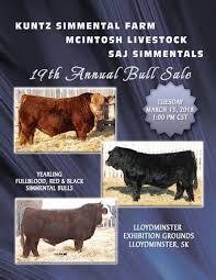 kuntz mcintosh saj 19th annual bull sale by todays