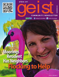 Geist November Newsletter by Towne Post Network, Inc.