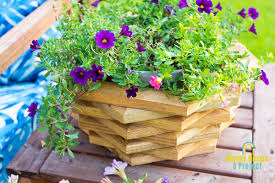 Carefully cut a petal as there are chances of getting teared at the ends. Stacked Hexagon Wood Flower Pot Diy Tutorial Mama Needs A Project