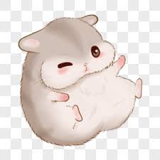 Bmp, gif, jpg, png, tga, tiff, wbmp, webp. 120000 Vector Hamster Hd Photos Free Download Lovepik Com