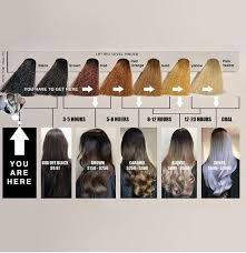 Thanks For This Hai Stylist It Helps Everyone From Pro To Consumer Black To Blonde Hair Color Correction Hair Hair Chart