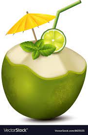 Cocktail In Coconut Royalty Free Vector Image Vectorstock Coconut Vector Coconut Coconut Images