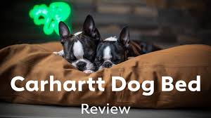 But, your dog's bed doesn't have to suffer because of this! Indestructible Dog Beds 9 Tough Beds For Your Chew Tastic Dog