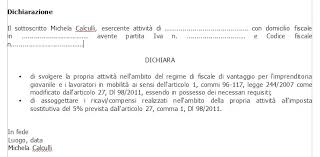 Tutte le istruzioni utili per non commettere (.) clicca qui per visualizzare e scaricare il facsimile di una ricevuta di prestazione occasionale. Nuovi Minimi Indicazioni Operative Ed Esempio Fattura Michela Calculli