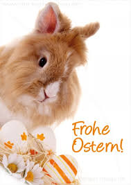 Auch durch die süßwarenindustrie hat sich der hase an ostern quasi eingebürgert. Postkarte Grusskarte Osterkarte Susses Kaninchen Frohe Ostern Postkarten Kategorien Karten Fur Alle Anlasse Der Karten Shop De Tierisch Gute Gluckwunschkarten Postkarten Und Geschenkartikel
