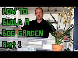 So for a successful bog garden keep these characteristics in mind Bog Vlog 1 How To Build A Temperate Carnivorous Bog Garden For North American Carnivorous Plants Youtube