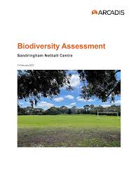 Image result for Lipotriche robinsonii