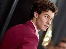 Você Conhece Mesmo O Shawn Mendes?