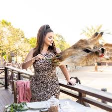 She rose to fame after releasing a po t'pëlqen in 2014, gathering over 100,000 views on youtube within 24 hours. Enca On Instagram I Animals Had This Amazing Experience Thank You For Having Us Sb Belhasa Which Animal Is Your Favorite