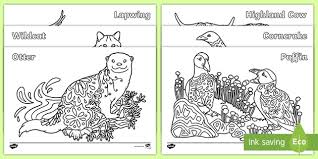 Original high quality colouring pages for you to print for your kids. Scottish Animals Mindfulness Colouring Pages
