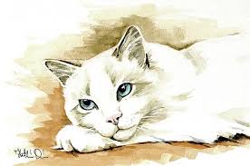 Bicolor Ragdoll Cat Portrait By Dora Hathazi Mendes In 2020 Cat Portraits Watercolor Cat Cat Portrait Painting
