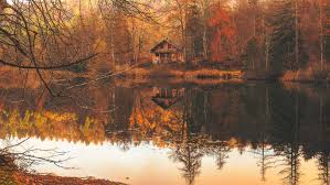 Or get a quote for ontario coverage from one of our brokers. Our Guide To Seasonal Ontario Cottage Insurance