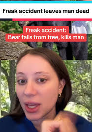 The Full Bear Video Falling