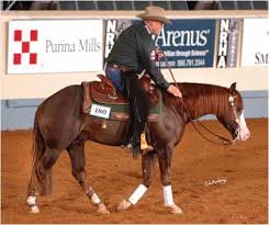 Clinton anderson's titan, ridden by andrea fappani, won the 2018 cactus reining classic open derby. North Central Reining Horse Association Gunnatrashya At Perfect Horse Auctions