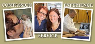 We are committed to providing the best services for your pet without having you reach so deep into your. Serving West Houston Since 1977 Pet Clinic Animal Hospital Pet Boarding