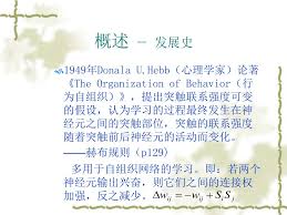 PPT - 人工神经元网络PowerPoint Presentation, free download ...