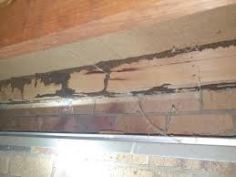 Brisbane residents have plenty of pests to deal with, and bob gunn termite solutions is here to help. Organic Pest Control Home Inspector Meadowbrook 108 Photos Facebook