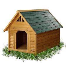 pin em casas de cachorro