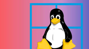 Windows subsystem for linux 2 is now available on windows 10 with various improvements, and this how you can install and start using it. Full Linux Kernel In Windows 10 Now Available Via Wsl 2